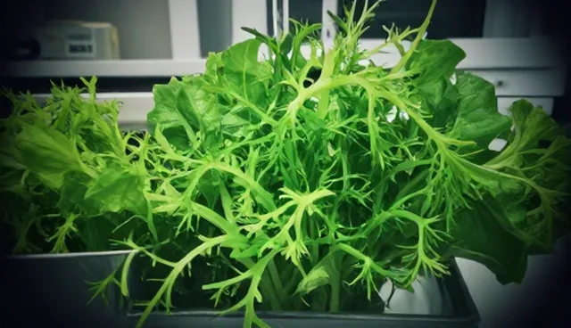 设备运维中结果影响如何避免